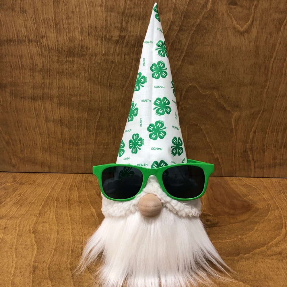 4-H Gnome Heart Health Hands Head 4-Leaf Clover Green White Gift Sunglasses